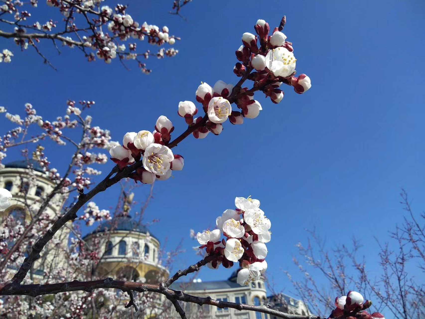 关于转折点！波士顿凯尔特人止住颓势，意甲今夜攻防权衡，悬念犹存，更衣室氛围转暖的信息